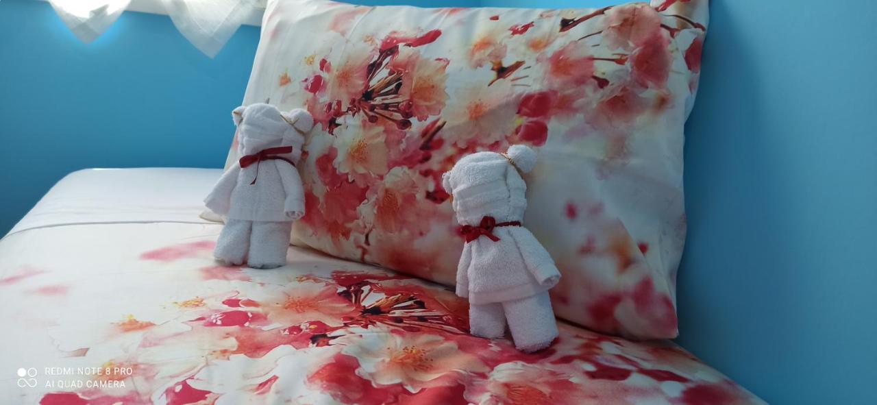 로마 A Casa Di Silvia 아파트 외부 사진